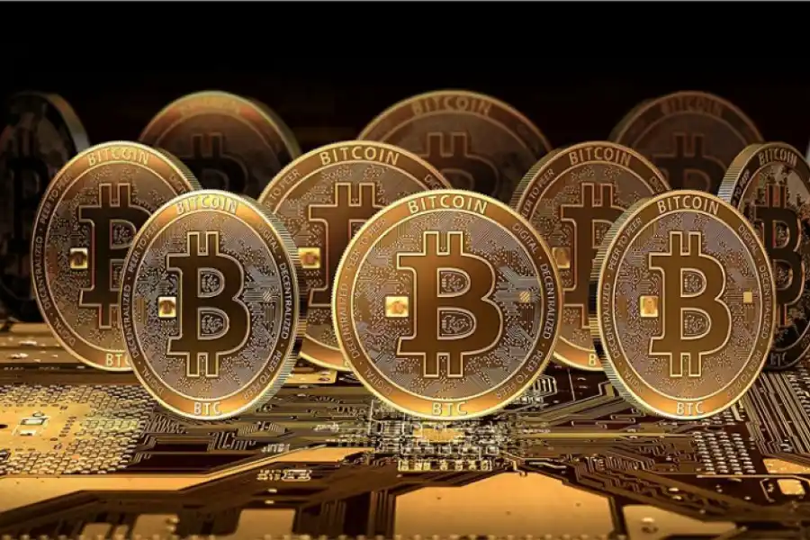 Pequeños ahorristas: qué dólar te conviene comprar y cómo debés hacerlo