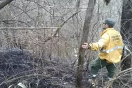 Videos: a un paso de ganarle al incendio en las Sierras de San Javier
