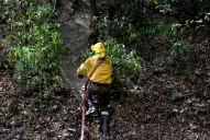 Sigue el fuego en San Javier y piden a la ciudadanía que no suba al cerro