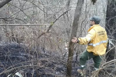 Buscan que Tucumán adhiera a la ley nacional de manejo del fuego