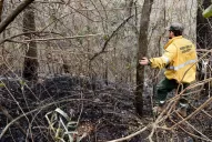 Con esfuerzo apaciguaron las llamas del cerro San Javier: quién se hará cargo de los costos
