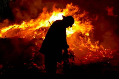 Brigadistas de la Policía Federal ayudan a combatir los incendios forestales en Córdoba
