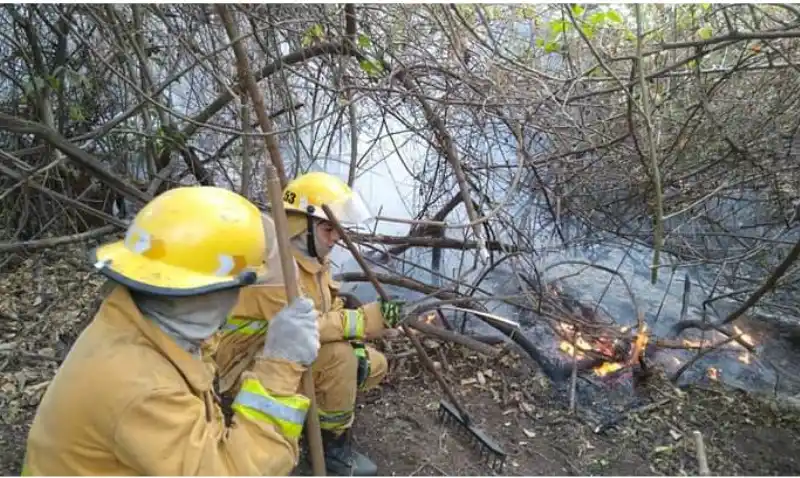 Lucha sin cuartel contra voraz incendio en Alberdi