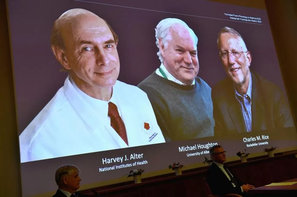 COMPARTIDO. Los tres investigadores premiados con el Nobel de Medicina de este año, en la imagen difundida durante el anuncio del premio. 
