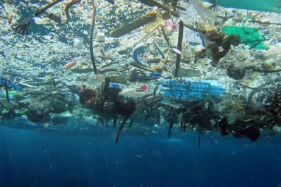 Contaminación ambiental: en el mar hay 14 millones de toneladas de microplásticos
