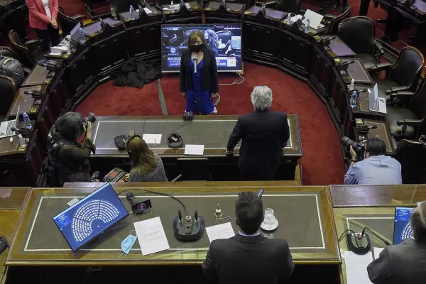Alcira Figueroa juró como diputada y las mujeres son mayoría en el bloque del Frente de Todos