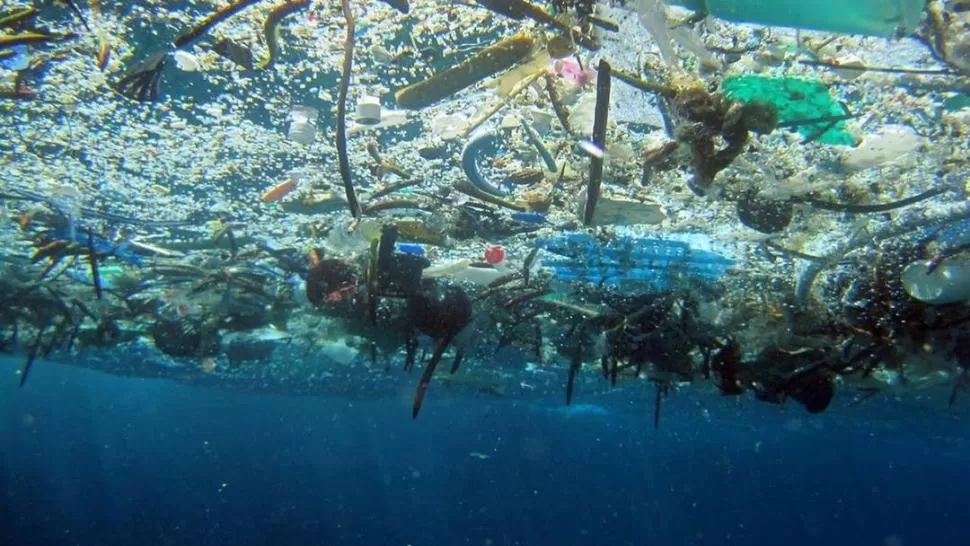 PREOCUPANTE. Alarma la cantidad de plástico que termina en los océanos. ARCHIVO LA GACETA 