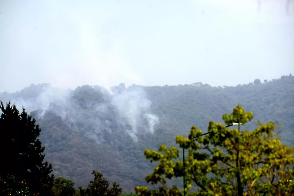 HUMAREDA. El humo se desprendía de los árboles y podía verse casi desde cualquier punto de Yerba Buena. 