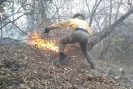 “Creo que el origen del fuego fue intencional”