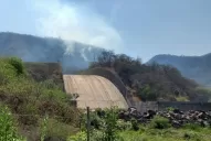 Los incendios también llegaron a El Cadillal: bomberos lograron controlar el fuego