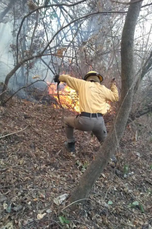 EN ACCIÓN. Un bombero enfrenta el fuego en medio de los cerros.
