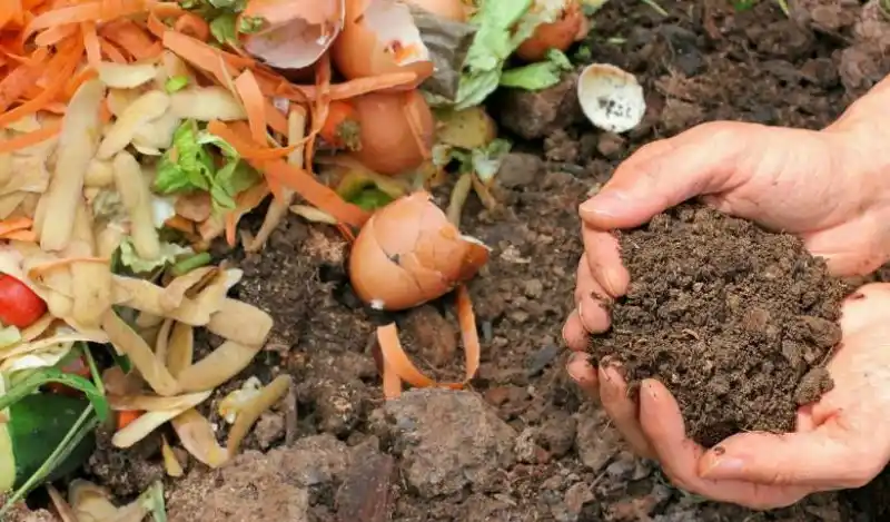 Compost: todo lo que tenés que saber para prepararlo en casa