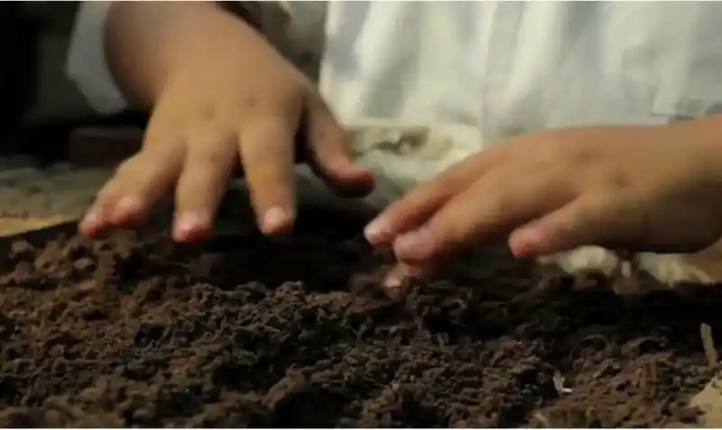 Compost: todo lo que tenés que saber para prepararlo en casa