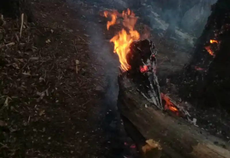 Bomberos trabajan en el cerro San Javier por nuevos focos de incendio 