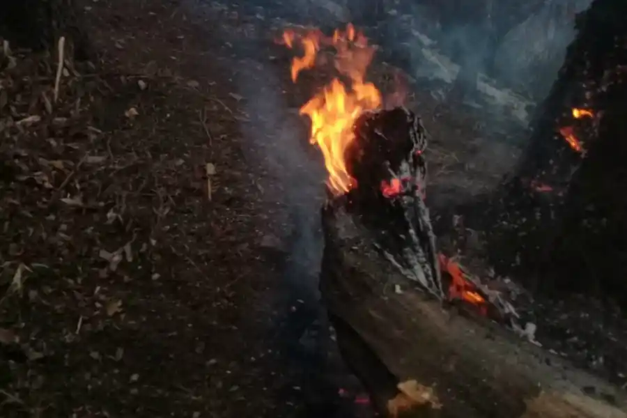 Bomberos trabajan en el cerro San Javier por nuevos focos de incendio 