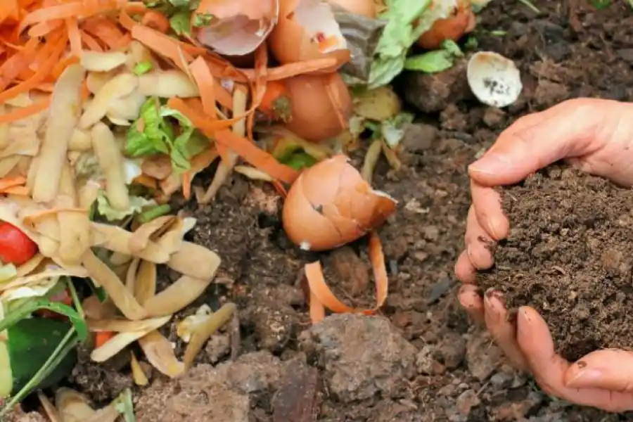 Compost: todo lo que tenés que saber para prepararlo en casa