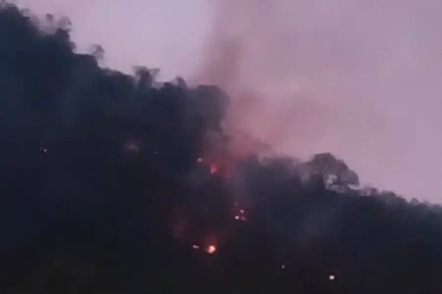 Los incendios también llegaron a El Cadillal: bomberos lograron controlar el fuego