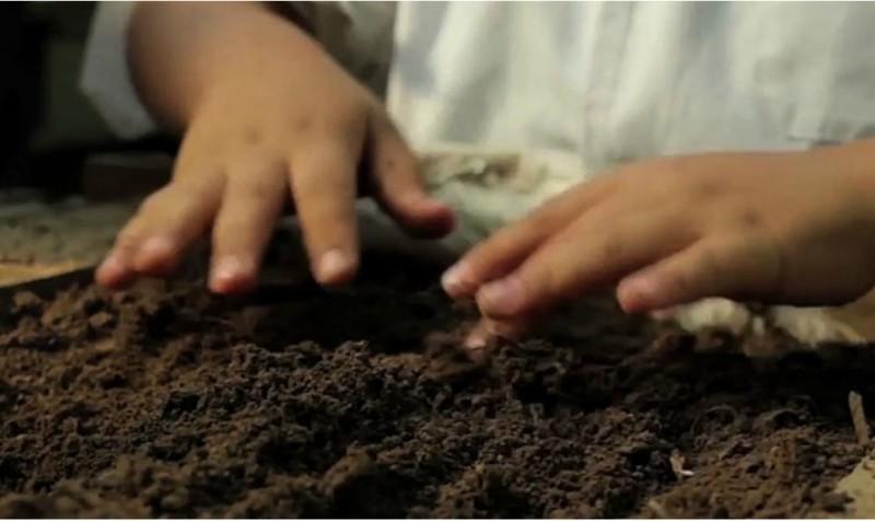 Compost: todo lo que tenés que saber para prepararlo en casa