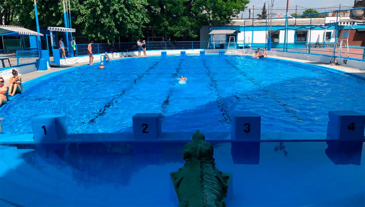 Cultura y deporte resumen los 85 años de vida de Tucumán de Gimnasia