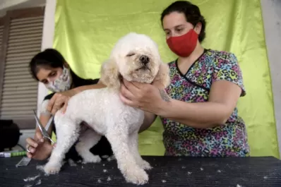 Reportaje fotográfico: cuidan mascotas ajenas como si fuesen suyas