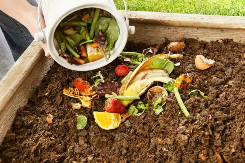 Feriado en casa: aprovechá la basura del fin de semana y armá tu compost