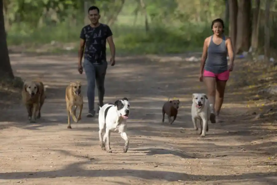  la gaceta / fotos de franco vera  