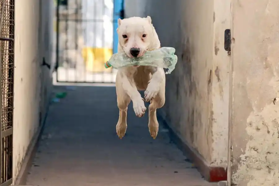  la gaceta / fotos de franco vera  