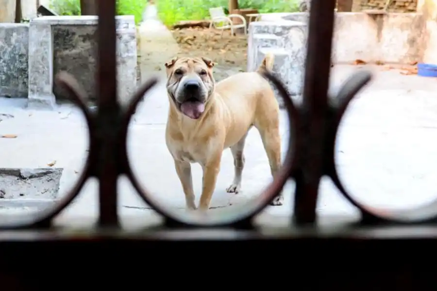  la gaceta / fotos de franco vera  