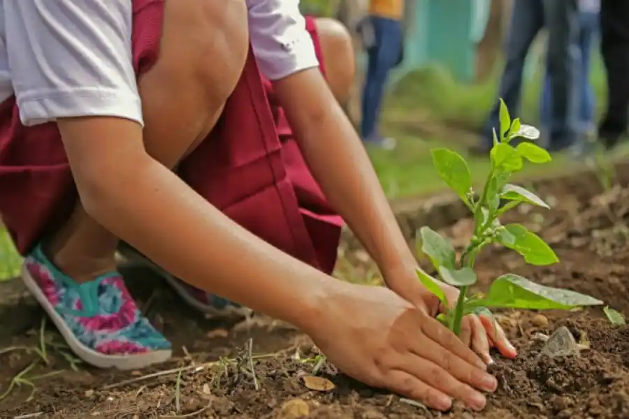 Ocho propuestas para aprovechar el feriado sin salir de casa 