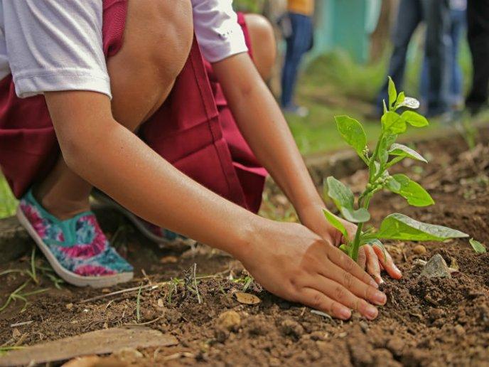 Ocho propuestas para aprovechar el feriado sin salir de casa 