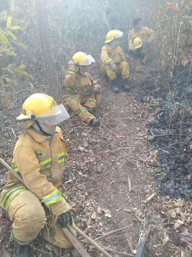 SIN DESCANSO. Los bomberos combaten las llamas en el terreno. 