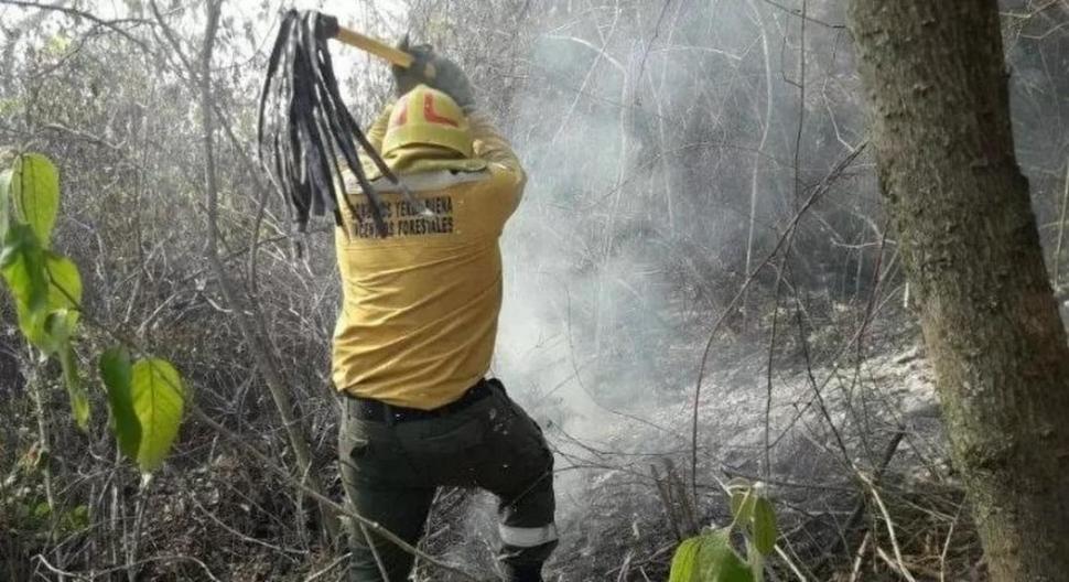 ESFUERZO. Un bombero de Yerba Buena lucha para apagar el fuego.