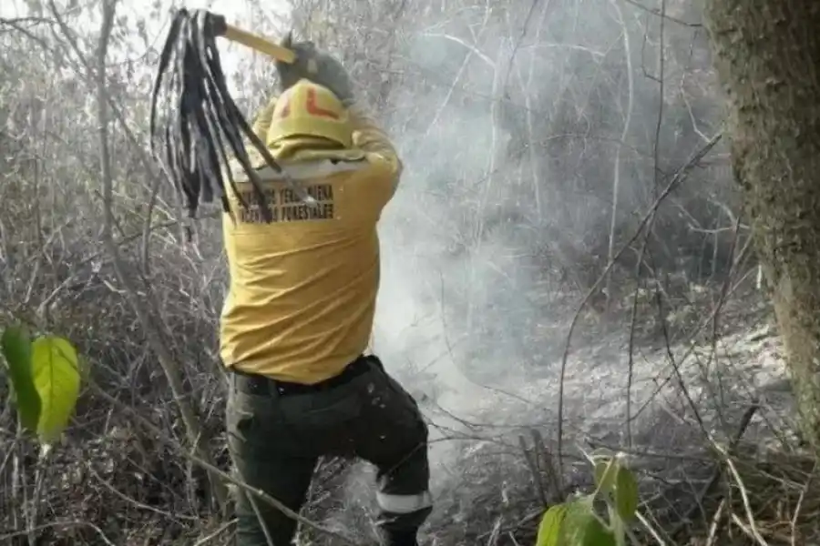 ESFUERZO. Un bombero de Yerba Buena lucha para apagar el fuego.