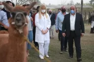 Sueros de llama y de huevo de gallina: hay que esperar los ensayos clínicos