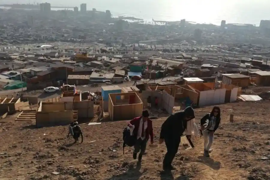 La historia de “Zombies en el cañaveral” se cuenta desde distintas películas y géneros