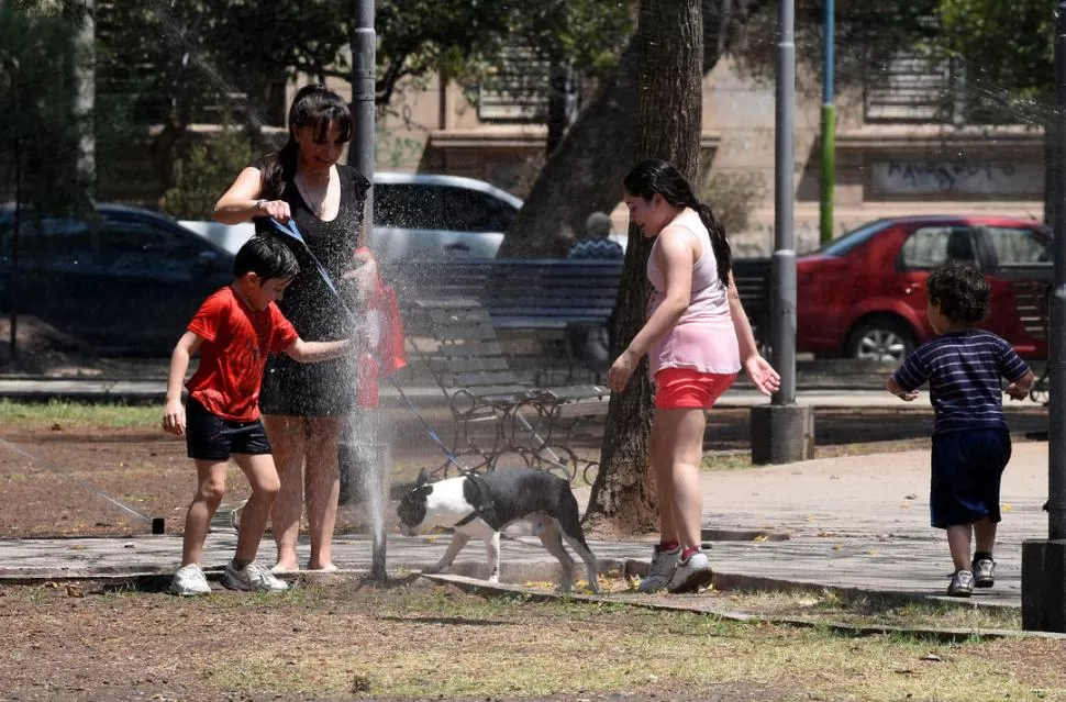 REFRESCARSE. Una familia, incluida la mascota, busca combatir el agobiante calor tucumano con la ayuda del agua en una plaza. LA GACETA / FOTOs DE JOSé NUNo