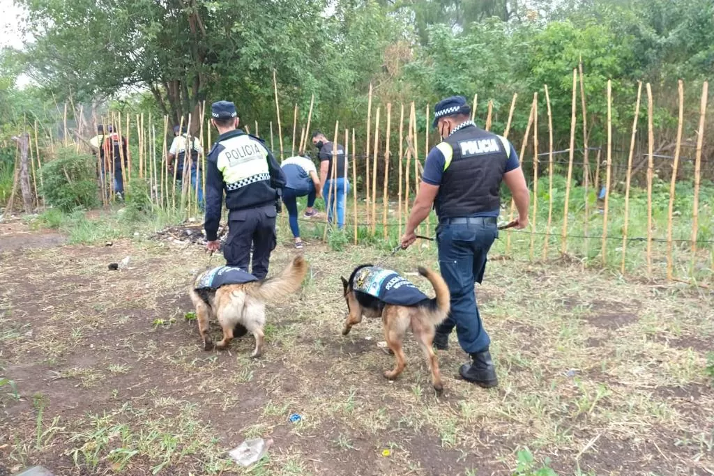 EN BUSCA DEL ACUSADO. Policías con perros adiestrados tratan de hallar pistas del asesino de Abigail. Foto: Ministerio de Seguridad