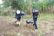 En las redes: instan a no compartir imágenes y videos de la aparición de Abigail