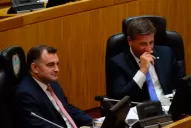 Legisladores piden informes sobre el accionar de la Policía en el marco del crimen de Abigail