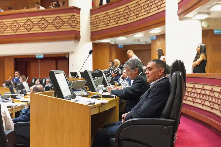 EN EL RECINTO. Daniel Deiana, legislador oficialista. Foto: Twitter @DanielDeiana3