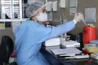 Tras la descentralización, en el Laboratorio de Salud se realizan 800 testeos por dia