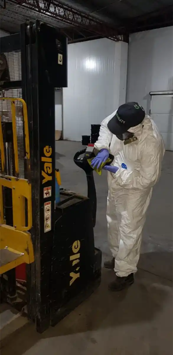 Sanitización: control de plagas en manos de expertos