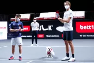 Schwartzman: es difícil encontrar respuestas ante semejante nivel