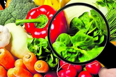 Del productor a tu boca: ¿es seguro lo que comemos?