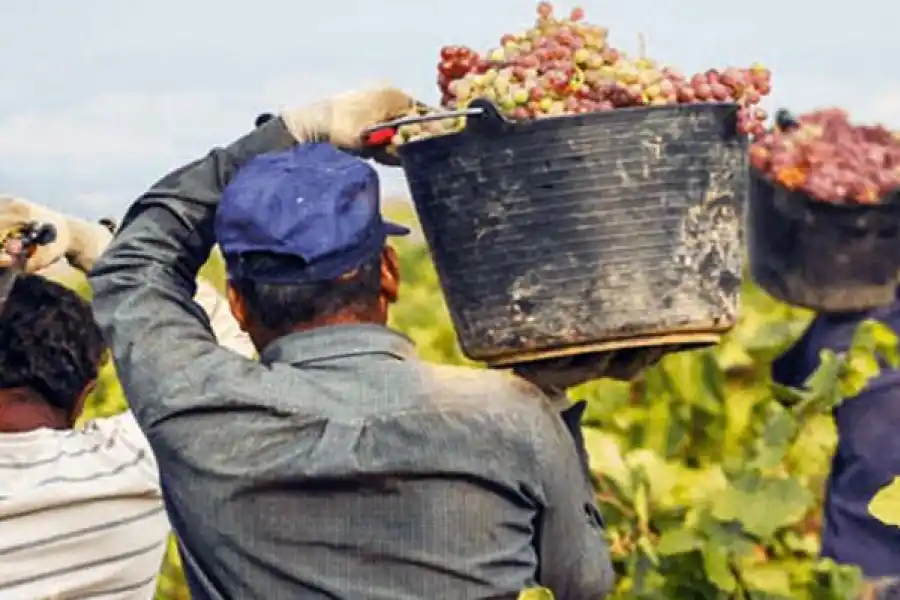 Obreros golondrina: viajaron con permisos truchos desde Tucumán y los detectaron en Río Negro