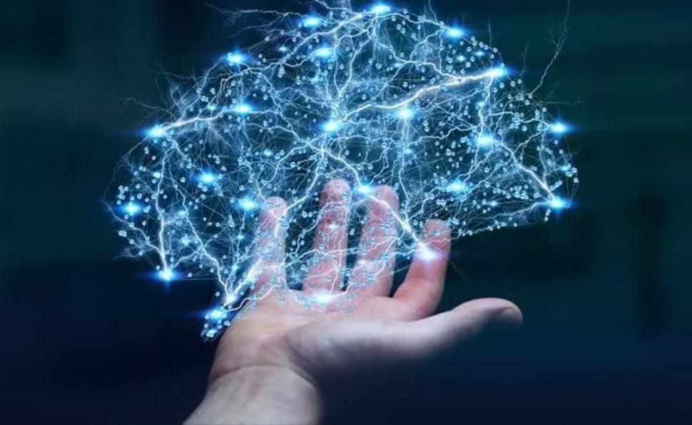 RED NEURONAL. Las neuronas del reloj biológico remodelan sus conexiones o sinapsis a diario.  