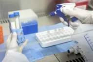 Son 782 los fallecidos por coronavirus en Tucumán