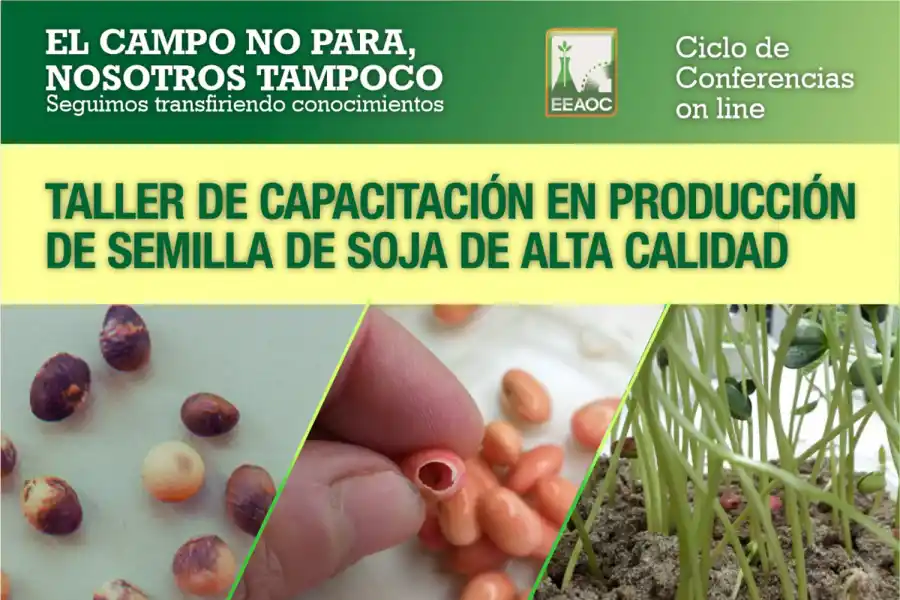 La Eeaoc capacitará sobre producción de semillas de soja de alta calidad
