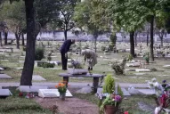 La duda de muchos: ¿es feriado el lunes 2 de noviembre?