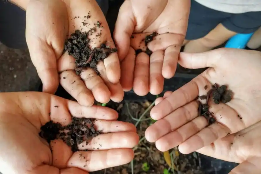 Educando a los niños en el reciclaje